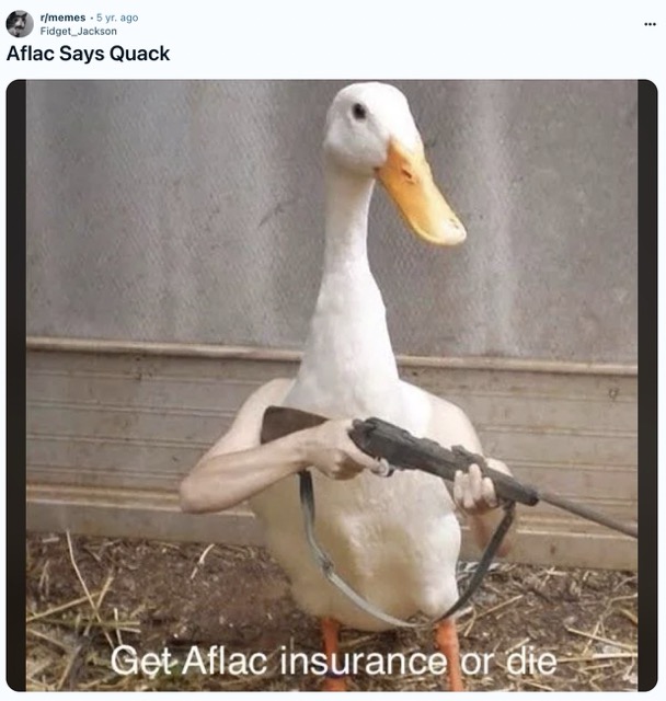 armed goose - rmemes 5 yr. ago Fidget Jackson Aflac Says Quack Get Aflac insurance or die